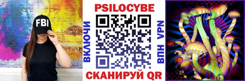 Купить где  Аркадак  Галлюциногенные грибы мицелий 